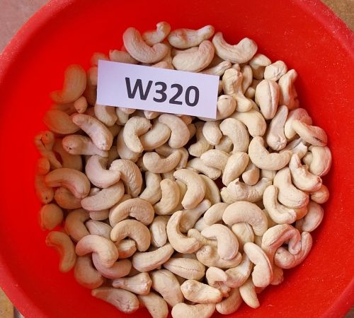 Raw Split Cashew Nuts, Color : Creamy White