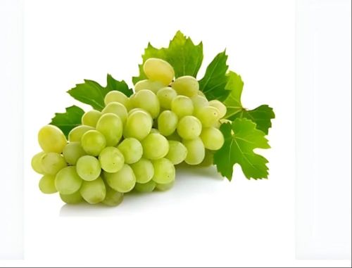 Natural A Grade Fresh Green Grapes, Packaging Size : 5Kg, 10Kg