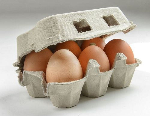 6 Pieces Fresh Brown Eggs, Packaging Type : Box for Cooking, Baking