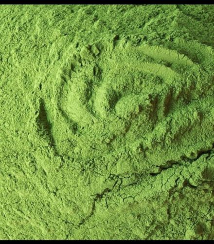 Semi Automatic Elecric Vegetable Dehydration Plant