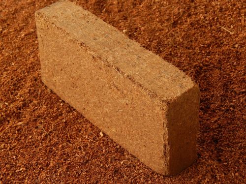 Coco Peat Briquette, Color : Brown for Growing Plants