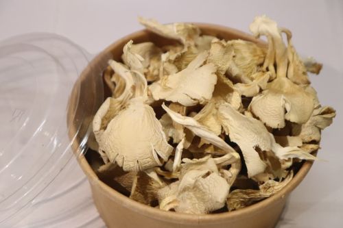 Organic A Grade Dry Oyster Mushroom, Packaging Size : 10Kg, 25-50kg