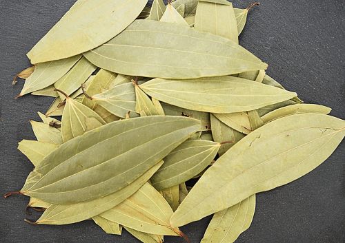 Green Dry Bay Leaf Food Grade, Packaging Type : Plastic Bag