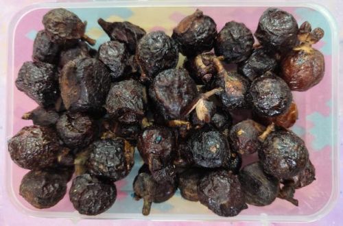 Raw Natural Soap Nuts for Eco-friendly Laundry Detergent