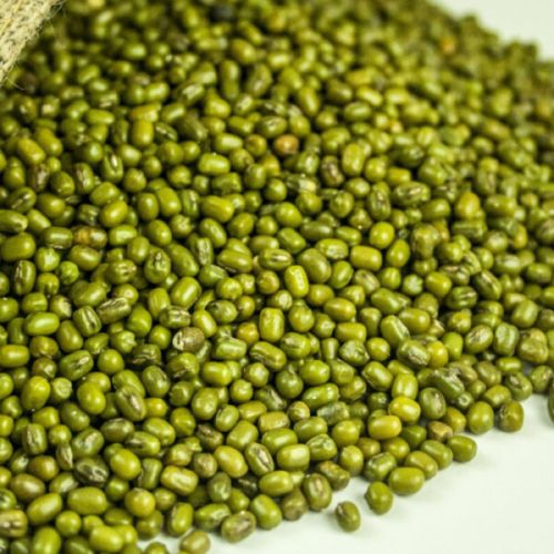 White Natural Green Gram Pulse, Packaging Size : 20Kg, 25Kg, 50Kg