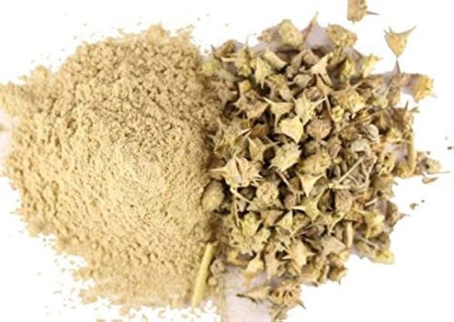 Gokhru Strength Booster Powder for Muscle & Fitness Support