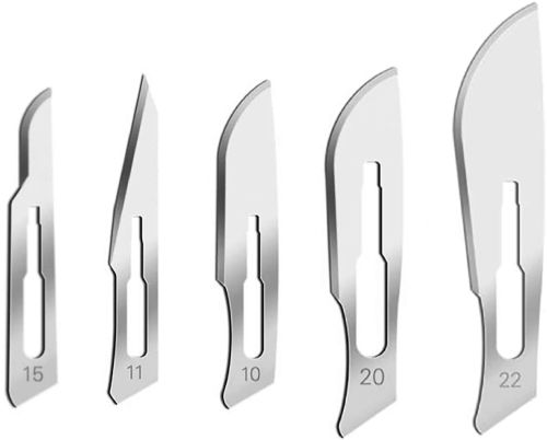 Polished Collin Scalpel, Color : Metallic for Surgical Use