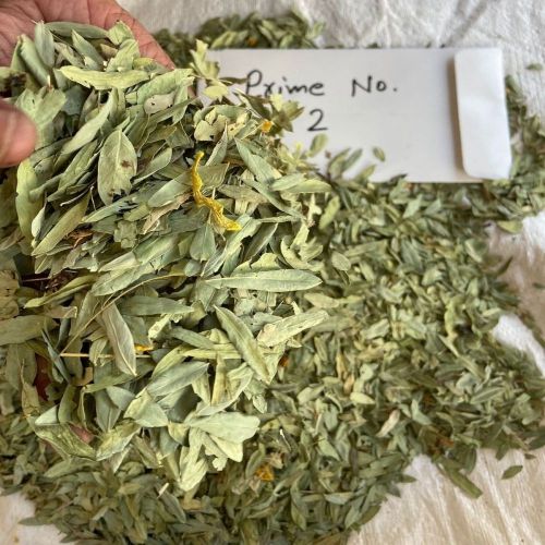 Double Clean Prime 2 Senna Leaves, Color : Green for Medicine