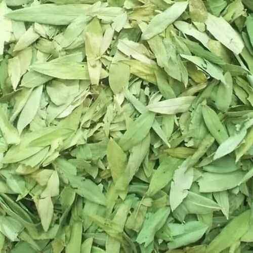 Single Clean Prime 2 Senna Leaves, Color : Green