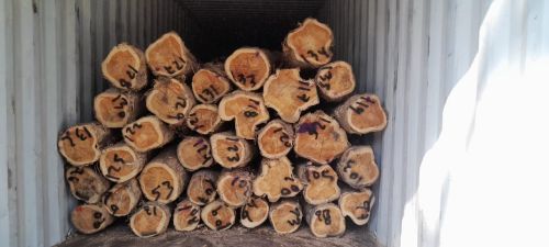 Not Dried Non Polished Teak Logs, Color : Brown