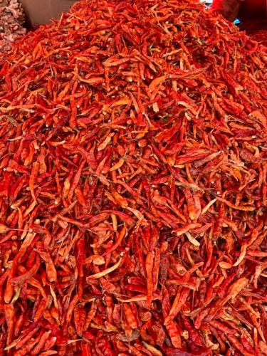 Organic Dehydrated Pepper, Packaging Size : 50g, 1Kg, 5Kg, 25Kg