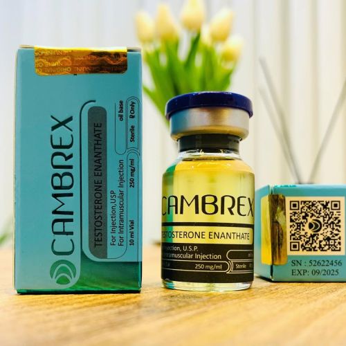 Cambrex Testosterone Cypionate Injection, Color : Colorless