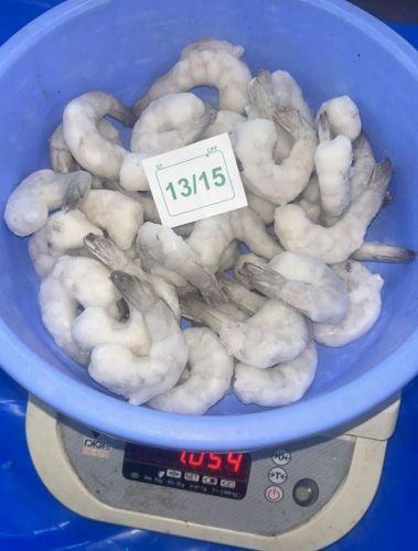 13/15 PD White Frozen Prawns, Packaging Type : Loose