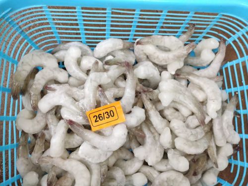 26/30 PD White Frozen Prawns, Packaging Type : Loose