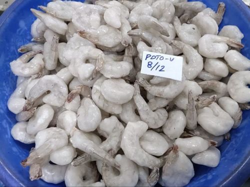 8/12 PD White Frozen Prawns, Packaging Type : Loose
