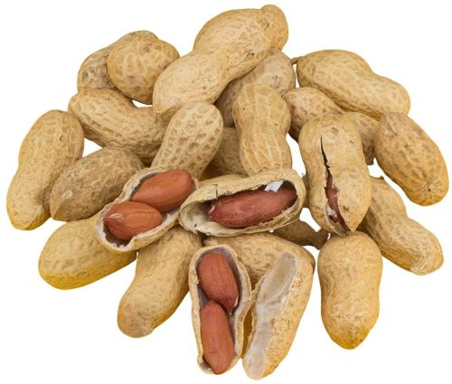 Indian Shelled Groundnuts, Color : Light Brown