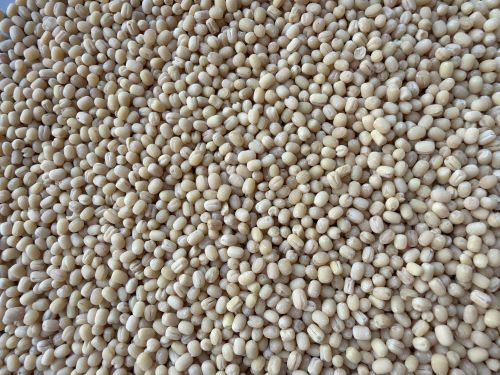 Organic Skinless Urad Gota, Shape : Granules