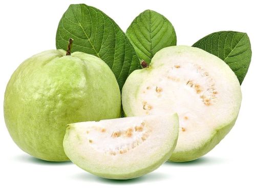 Soft Juicy Fresh Green Guava, Packaging Type : Carton Box