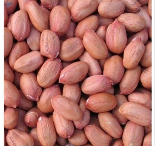 Kernels Groundnut Seeds, Shell Type : With Shell