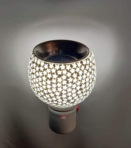 Stainless Steel Electric Kapoor Dani, Color : Silver for Aromatherapy