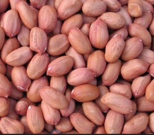 Kernels Whole With Skin Groundnut Seeds for Cooking, Human Consumption