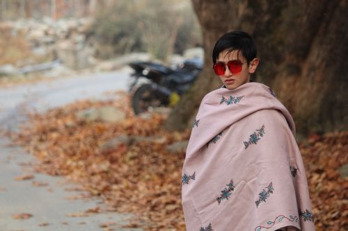 Printed Kashmiri Pashmina Shawl, Color : Brown, Gender : Gents