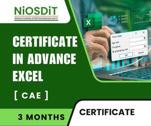 Certificate in Advance Excel