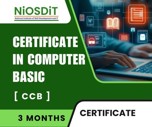 NiOSDiT Certificate in Computer Basic
