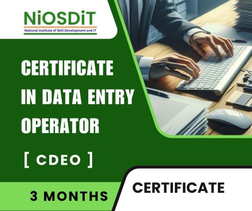 Certificate in Data Entry Operator