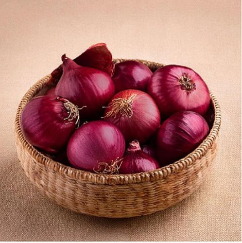 Fresh Red Onion, Form : Whole, Packaging Type : Mesh Bags