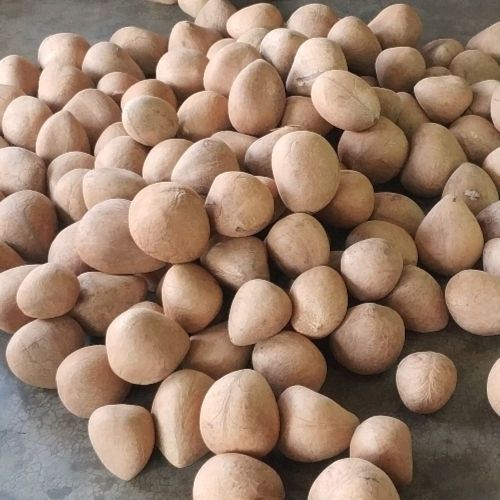 Dry Coconut Copra, Color : Brown for Cooking, Baking, Snacking