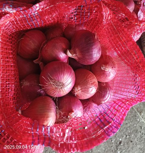 Red Onions, Cultivation Type : Natural for Cooking, Food