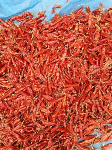 Whole Red Chilli, Grade : Food Grade for Cooking