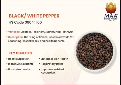 Premium Black Pepper, Mesh Size : 550GL, Moisture : Dry