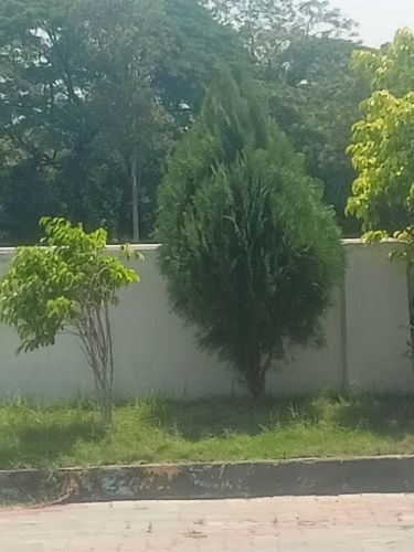 Landscape Development Services