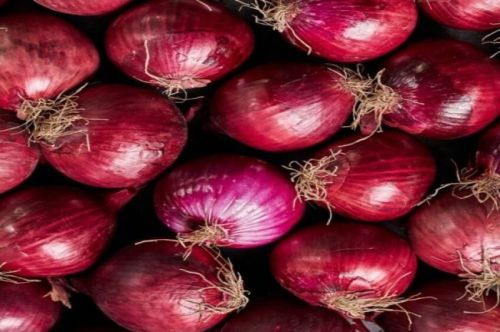 Red Onions, Packaging Size : 25Kg Loose, Net Bag