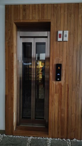 Polished Automatic Doors Centre Opening Elevator, Color : Brownish