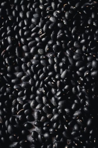 Organic Black Beans for Cooking, Human Consumption