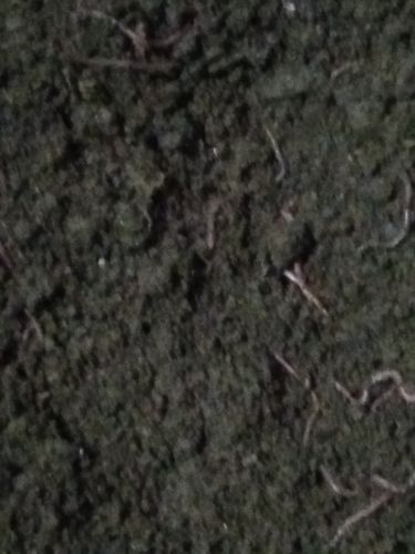 Compost Fertilizer, Color : Dark Brown To Black