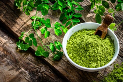 Moringa Powder, Color : Natural