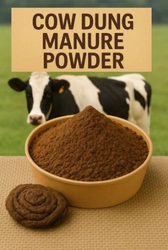 Cow Dung Powder, Color : Natural Brown