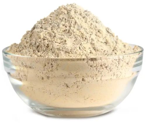 Brown Oyster Mushroom Powder, Packaging Size : 250g, 1Kg, 5Kg