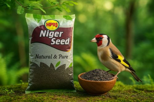 1Kg Hprj Birdie'S Niger Seeds