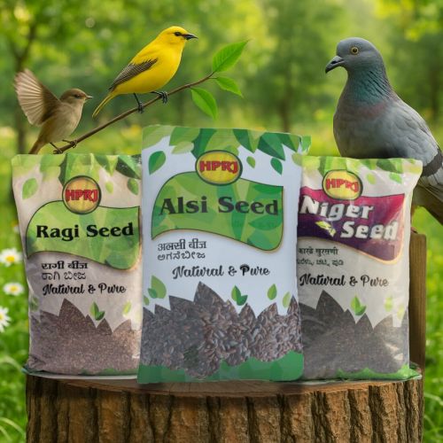 Birdie'S Flax Finger Millet and Niger Bird Seeds Combo