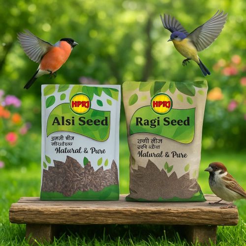 Birdie'S Flax Seed and Finger Millet Bird Seeds Combo
