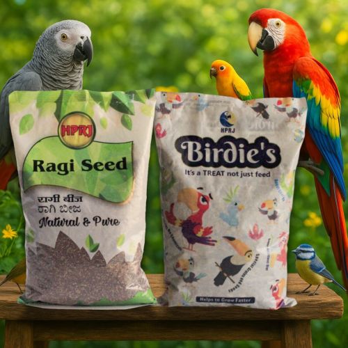 Birdie'S Ragi Millet and Mix Bird Seeds Combo