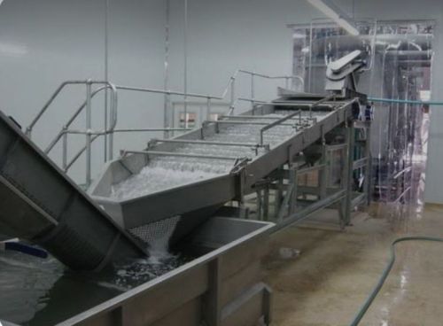 Fish Canning Plant