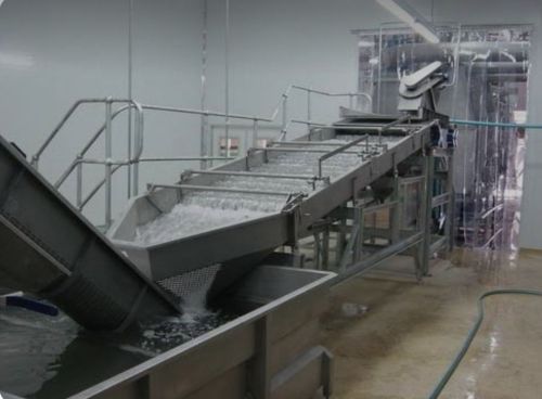 Fruit & Vegetable Powder Processing Plant