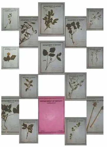 Metal Botany Herbarium Sheet, Color : Silver