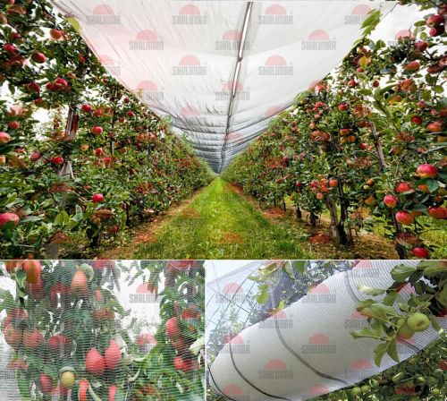 Anti Hail Net for Agriculture, Horticulture